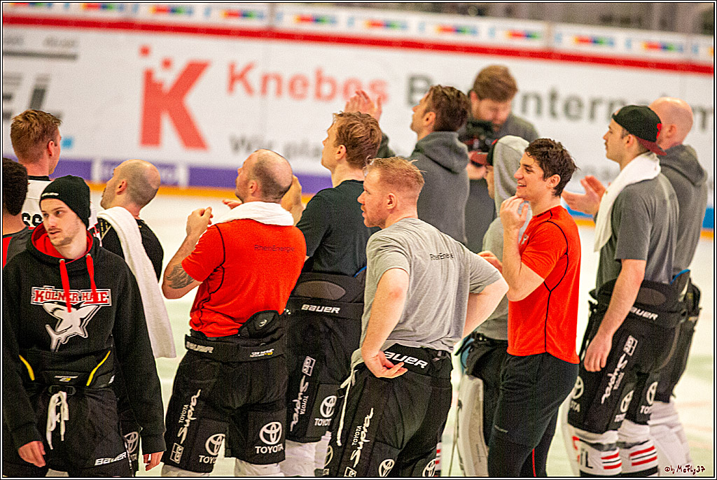 DEL; Duesseldorfer EG - Koelner Haie; Duesseldorf, 29.11.2019